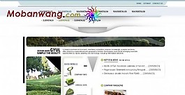 農業網站建設方案