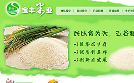 合肥定制網站建設公司